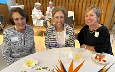 November 2023 Cocktails for Cause Event